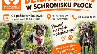 Poznaj podopiecznych płockiego schroniska. Dzień otwarty już 4 października