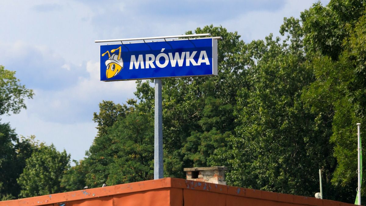 Grupa PSB prowadzi sieć marketów budowlanych Mrówka