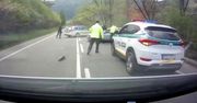 Szalony kierowca z Polski uciekał przed policją na Słowacji