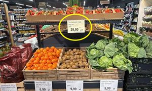 Lewiatan sprzedaje polskie truskawki. Oto cena