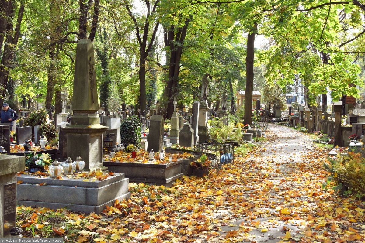 Długi na polskich cmentarzach. Zobacz, jakie są stawki za grób (zdjęcie ilustracyjne) 