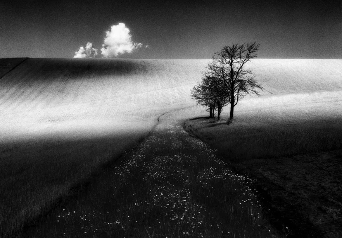 MonoVisions Photography Awards 2017. Polacy nagrodzeni wśród mistrzów fotografii czarno-białej 35