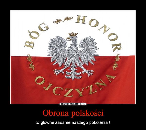 Patriotyzm w sieci – kolejna moda dla pozerów 2