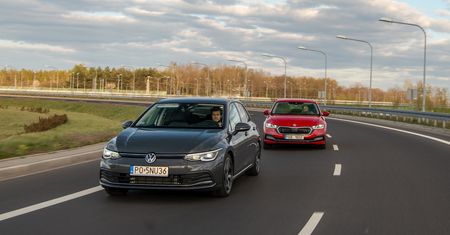 Kupili i żałują. Te samochody lepiej omijać