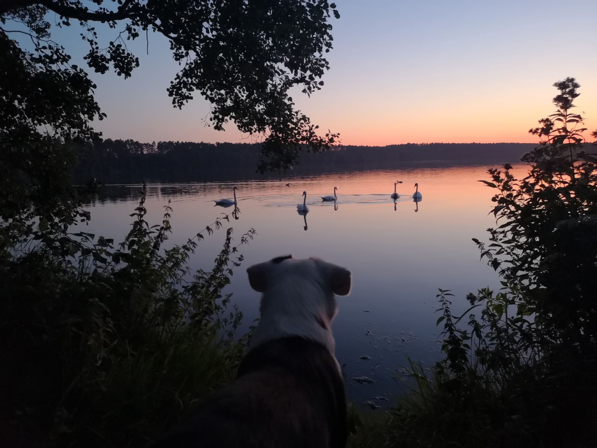 Trudno o bliższy kontakt z naturą