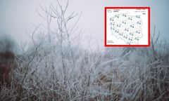 Przymrozki w Polsce. W tych rejonach może być naprawdę zimno