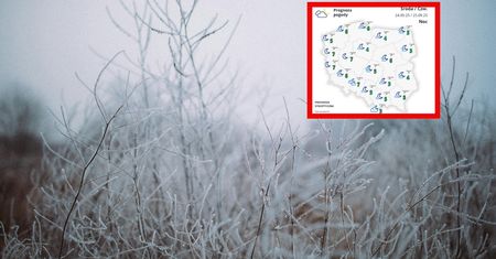Przymrozki w Polsce. W tych rejonach może być naprawdę zimno