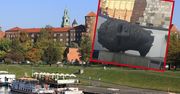 Słynna rzeźba otoczona toaletami. Skandal w Krakowie