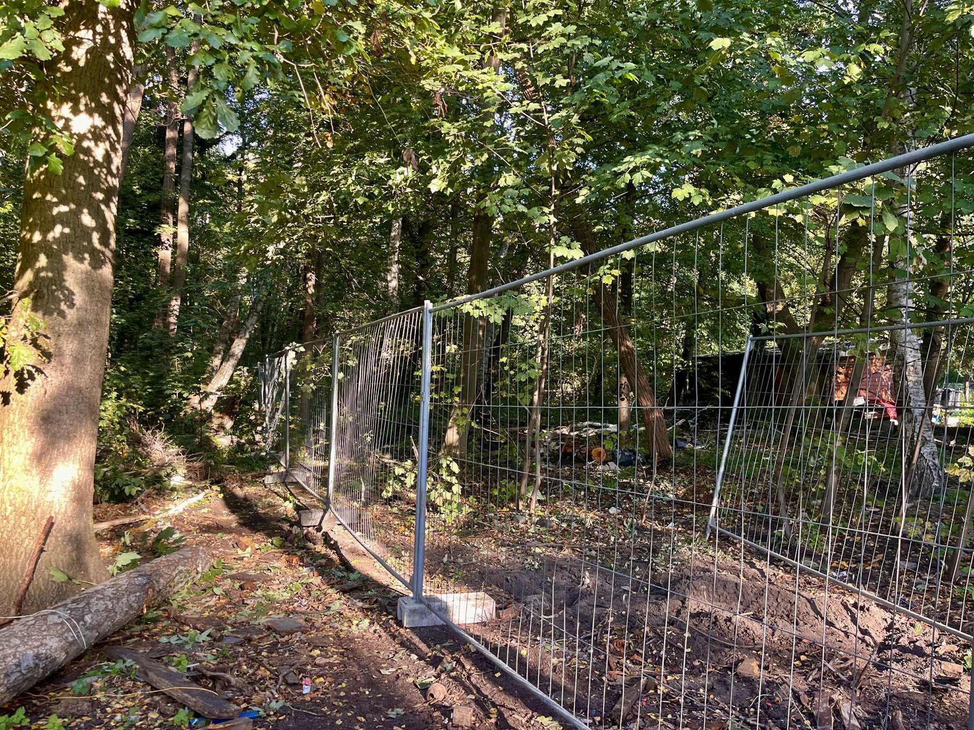 Na Helskim Cyplu planowana jest wycinka 433 drzew pod prywatną inwestycję