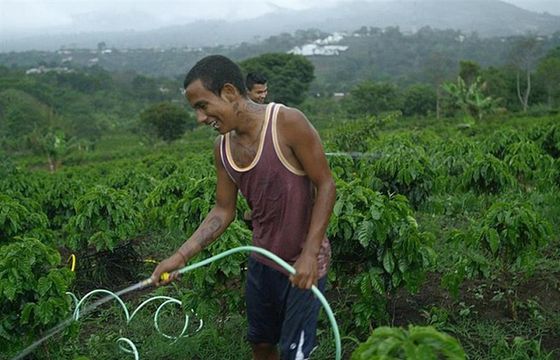 Havas Media obronił globalny budżet Jacobs Douwe Egberts