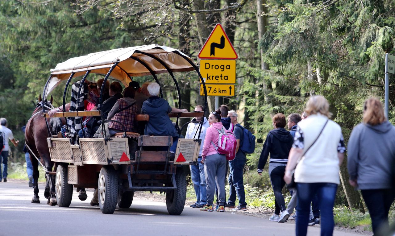 Tatry zamknięte dla elektrycznych hulajnóg. A mogły odciążyć konie w drodze do Morskiego Oka