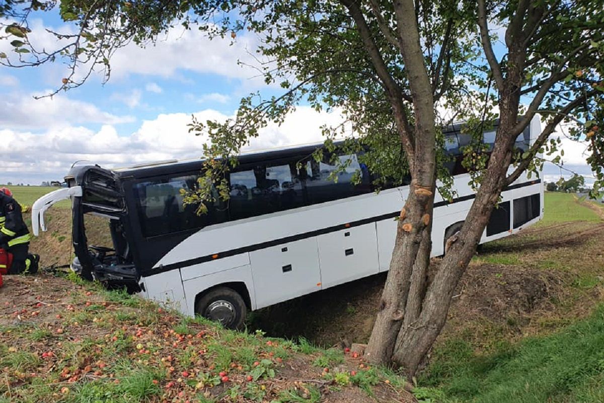 Autobus z przedszkolakami wypadł z drogi. 14 osób trafiło do szpitala