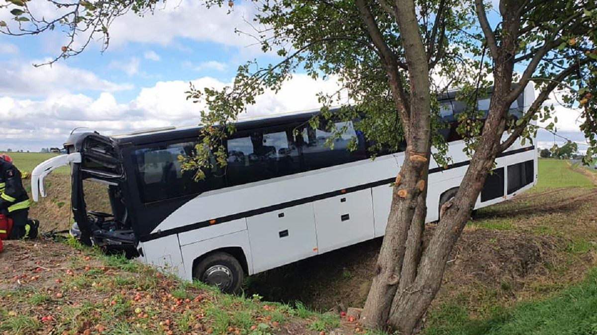 Autobus z przedszkolakami wjechał do rowu