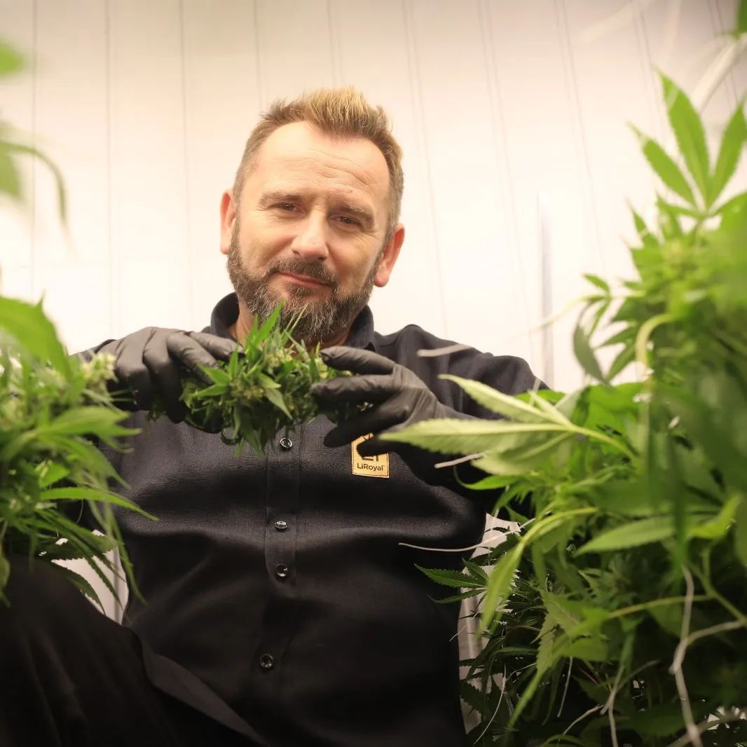 Liroy o legalizacji marihuany w Polsce 