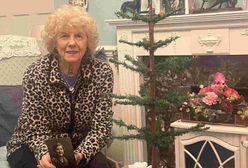 Skromniutka choinka sprzedana za duże pieniądze. Ma 103 lata