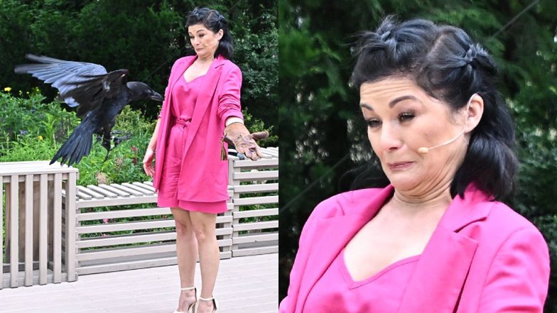 Katarzyna Cichopek i Maciej Kurzajewski