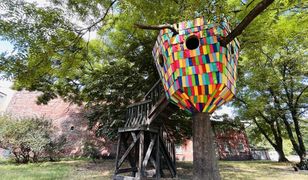 Miał być atrakcją Wrocławia. W środku zamieszkali bezdomni