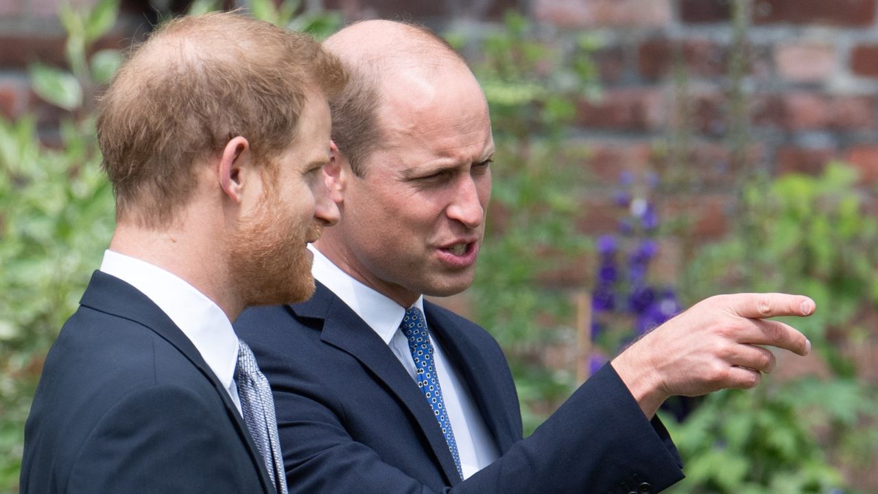 Harry i William w końcu się spotkali. Naoczni świadkowie wyśpiewali, co się zdarzyło