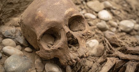 "D’Artagnan odnaleziony po 350 latach? Sensacyjne odkrycie pod holenderskim kościołem"