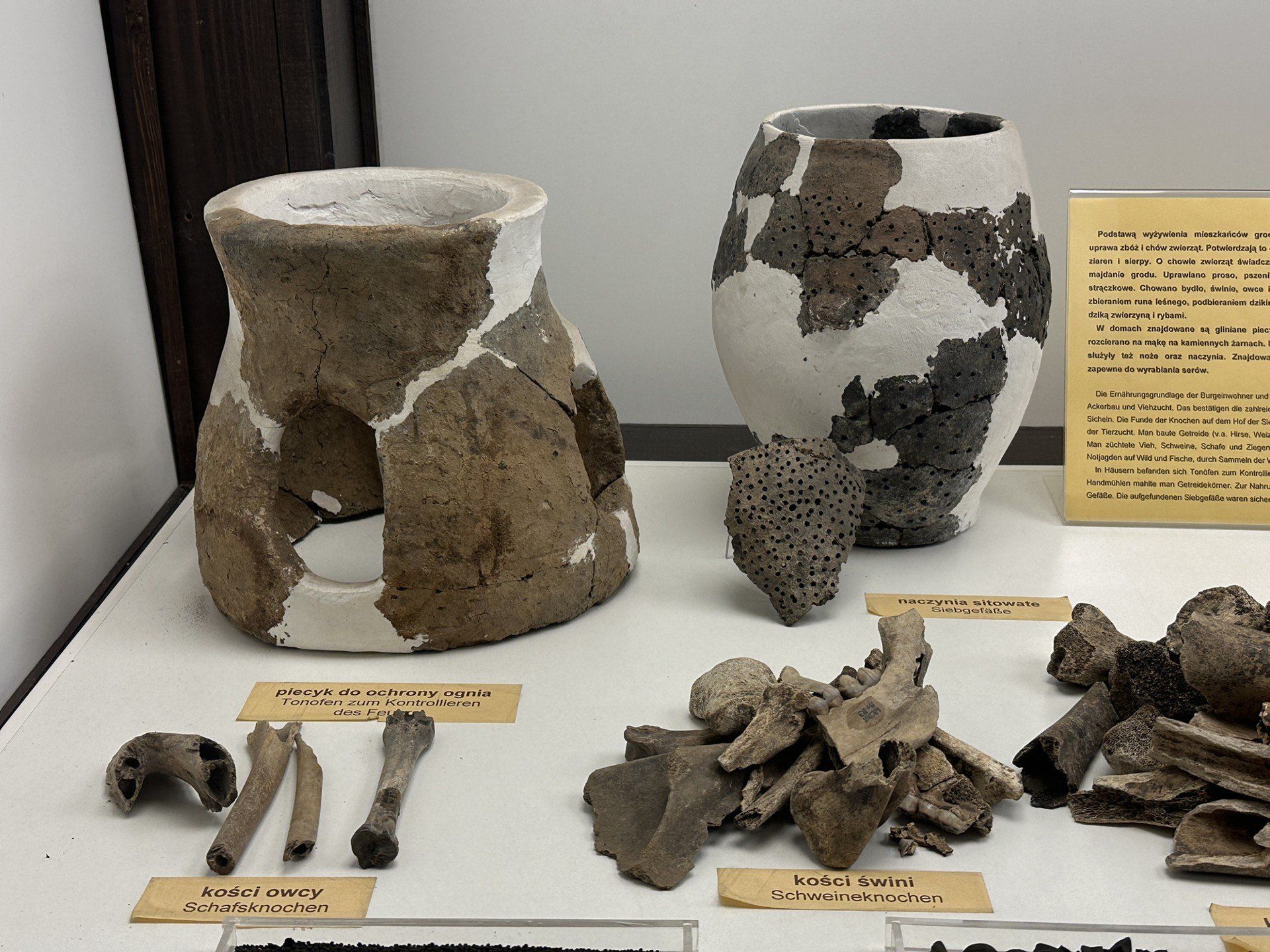 Park Kultury Grodzisko w Wicinie to niezwykłe miejsce z bogatą historią, ale wciąż niewielu Lubuszan wie o tym archeologicznym znalezisku. FOT. MARIUSZ KAPALA / GAZETA LUBUSKA