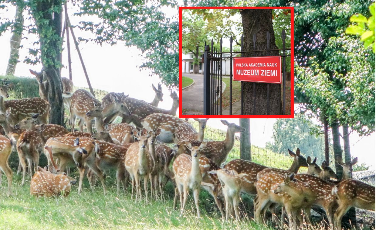 PAN likwiduje ośrodek na Mazurach