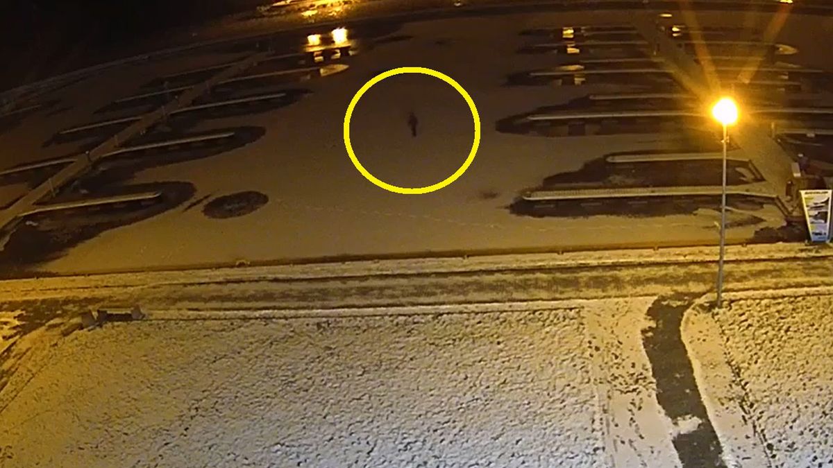 Pod spacerowiczem załamał się lód