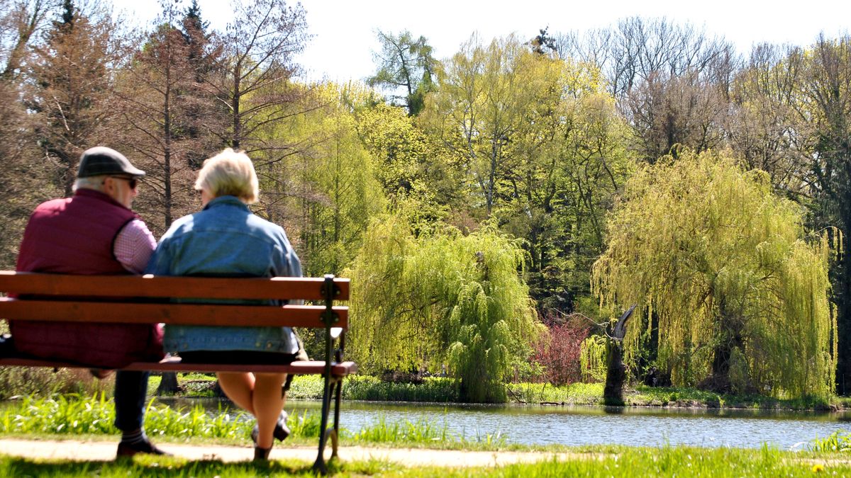 ludzie, seniorzy, para, park, starsi, emerytura, dziadek, babcia, aleja, wierzba, staw, drzewa, wiosna, pejzaż, trawa, trawnik, odpoczynek, relaks, czas wolny, styl życia, baba, woda, jezior