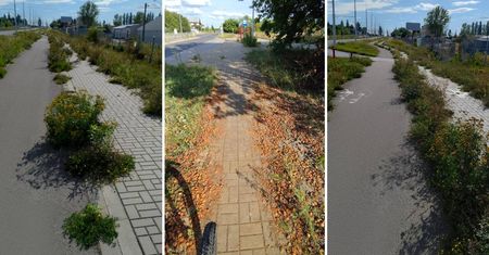 Trawa i chwasty pożerają chodniki i drogi rowerowe w Lublinie. ZDiTM reaguje po naszej interwencji | ZDJĘCIA