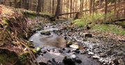 Korona Parków Krajobrazowych. Nowa odznaka turystyczna Dolnego Śląska