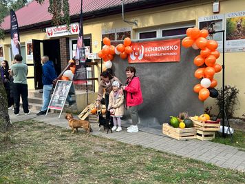 Dzień Otwarty w Schronisku dla Zwierząt w Płocku!