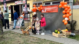 Dzień Otwarty w Schronisku dla Zwierząt w Płocku!