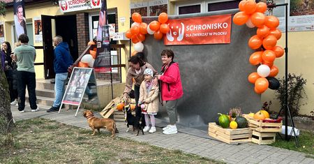 Dzień Otwarty w Schronisku dla Zwierząt w Płocku!