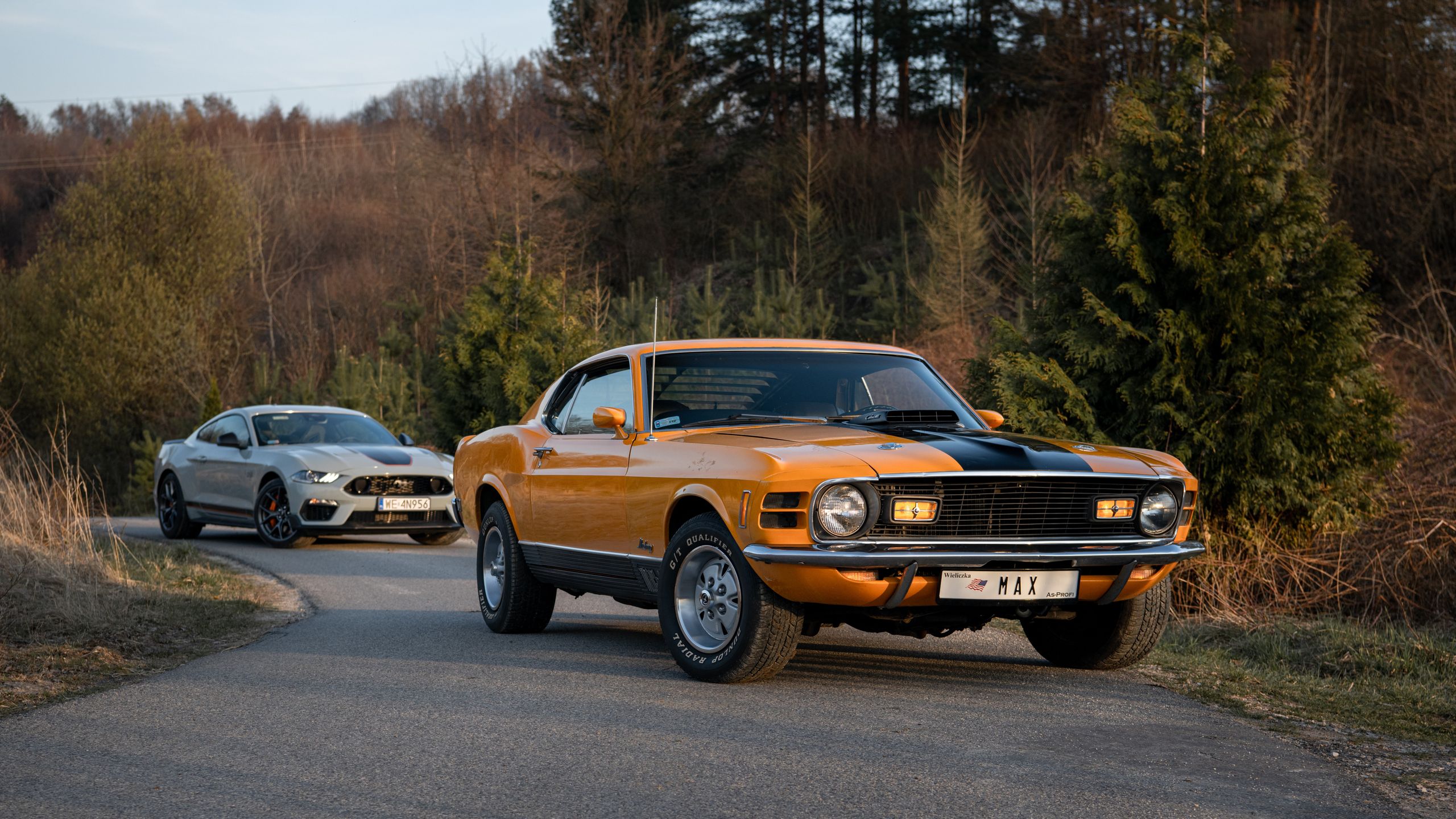 Ford Mustang Mach 1 vs. Mustang Mach 1 428 Cobra Jet