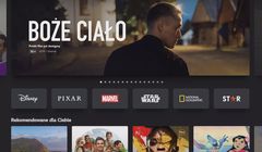 Jesienne zmiany w Disney+. Jeden z kafelków zmieni nazwę