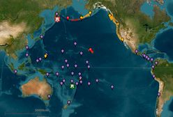 Fala tsunami dotarła do Alaski. "Najwyższy odnotowany poziom"
