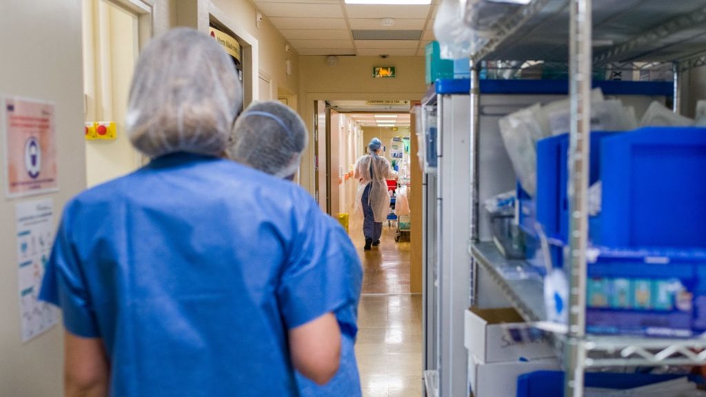 Komunikat Głównego Inspektora Sanitarnego dot. pierwszego wykrycia wirusa Shamonda u człowieka na terenie Francji.