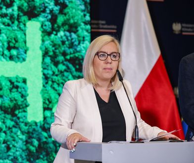 Wzór wniosku o bon energetyczny. Możesz go pobrać tutaj