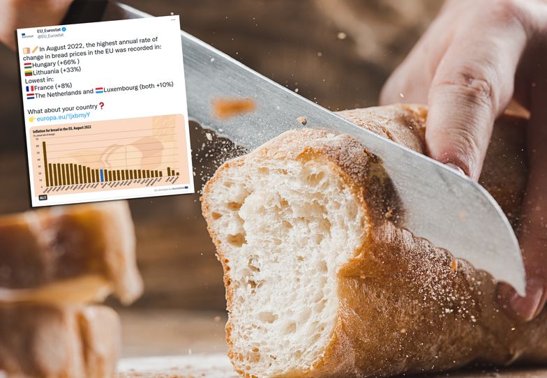 Tak rosną ceny chleba w UE. Polska w czołówce, ale jest kraj, który przebija pozostałe