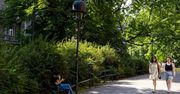 Kraków: Oto 20 największych parków. Znacie je? Tu można iść na spacer lub pobiegać