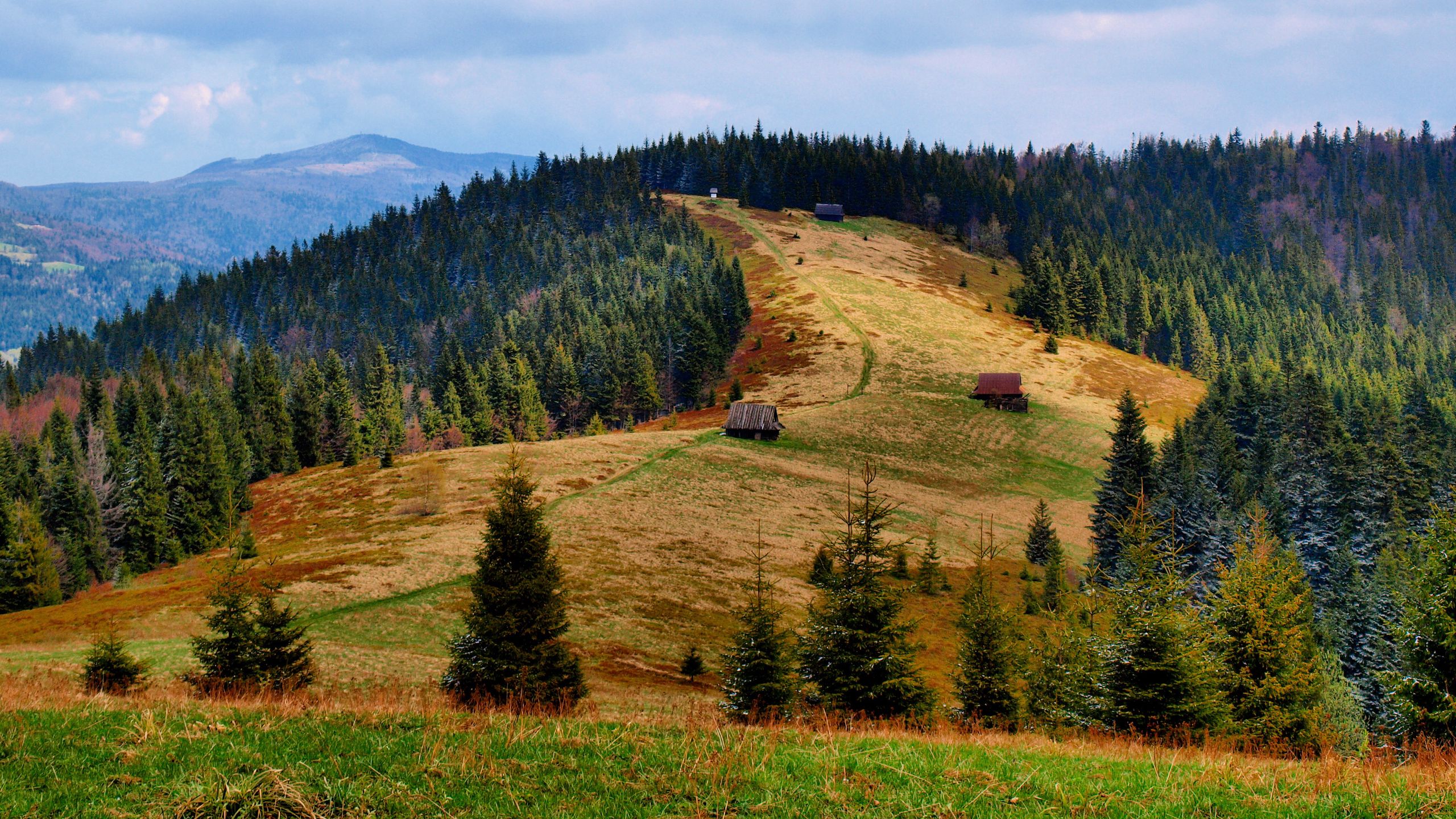 Rozległe panoramy będą nam towarzyszyć przez większość wędrówek przez Gorce