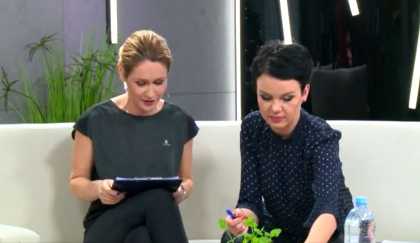 Jak schudnąć przed sylwestrową imprezą? (WIDEO)