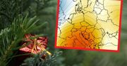 Pogoda na Wigilię i Boże Narodzenie. Złe wieści dla miłośników białych świąt