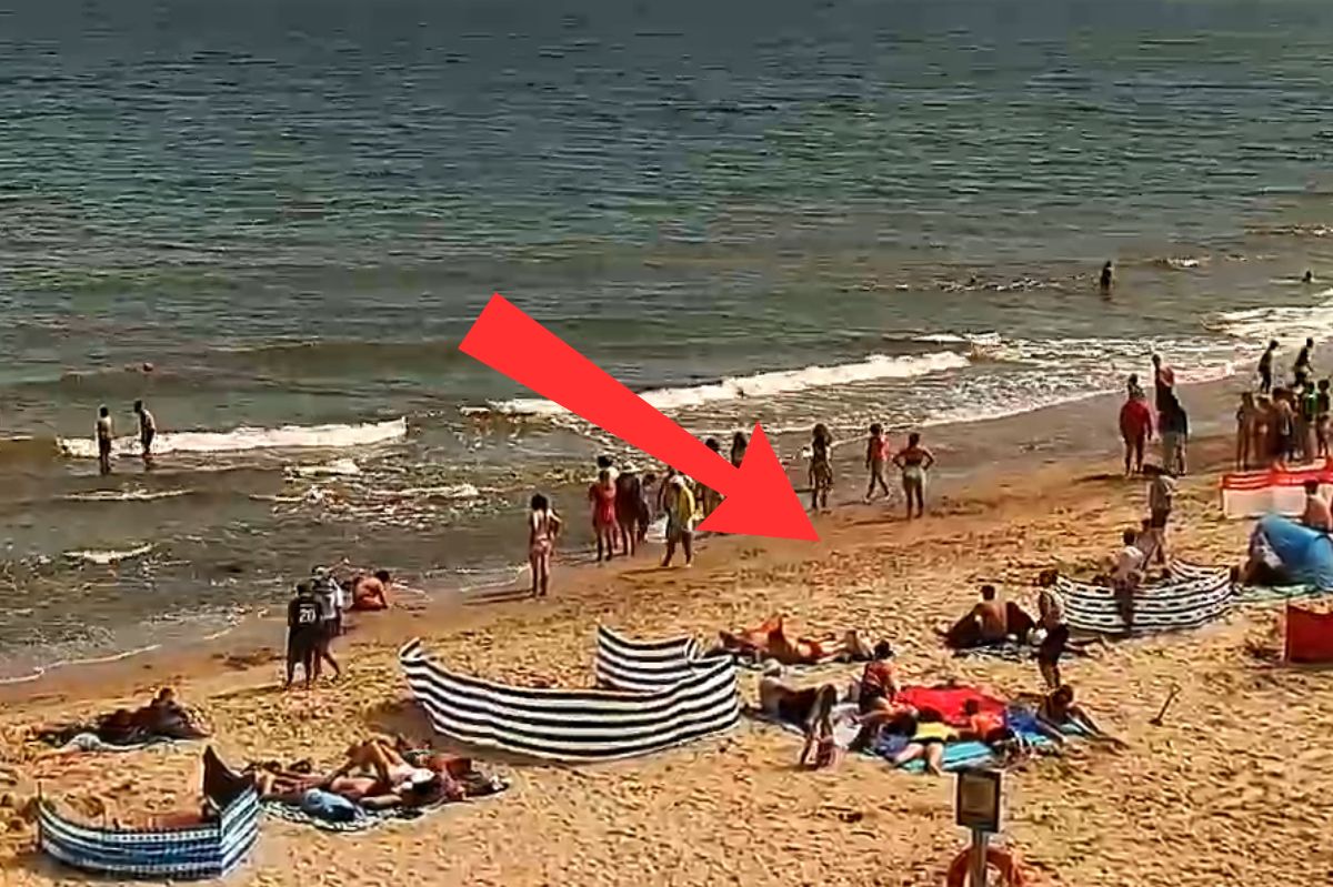 Była 11:11. Ujęcie z Chłapowa. Oto co zrobili plażowicze