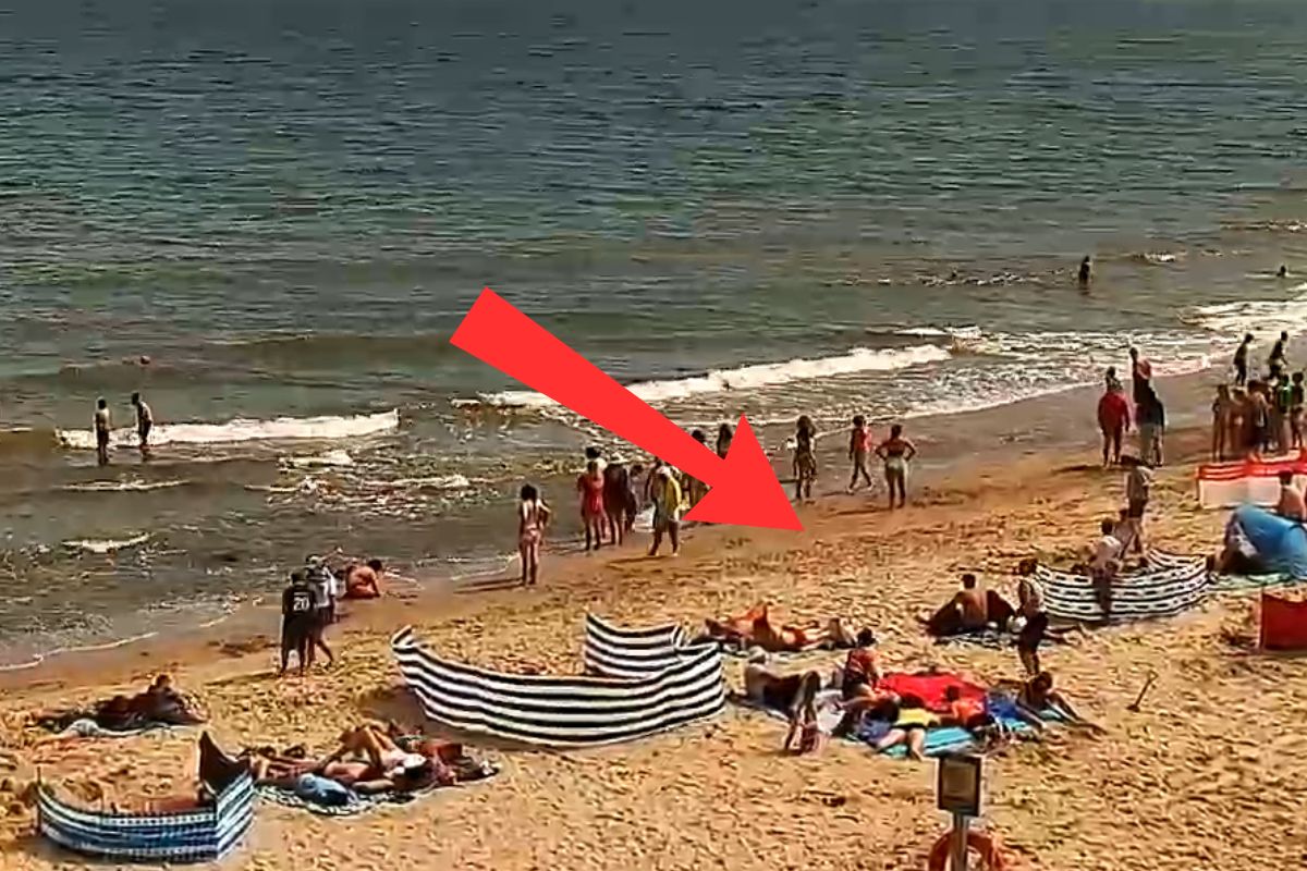 Niedziela, 13 lipca. Taki widok na plaży w Chłapowie.