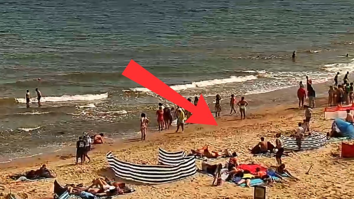 Niedziela, 13 lipca. Taki widok na plaży w Chłapowie.
