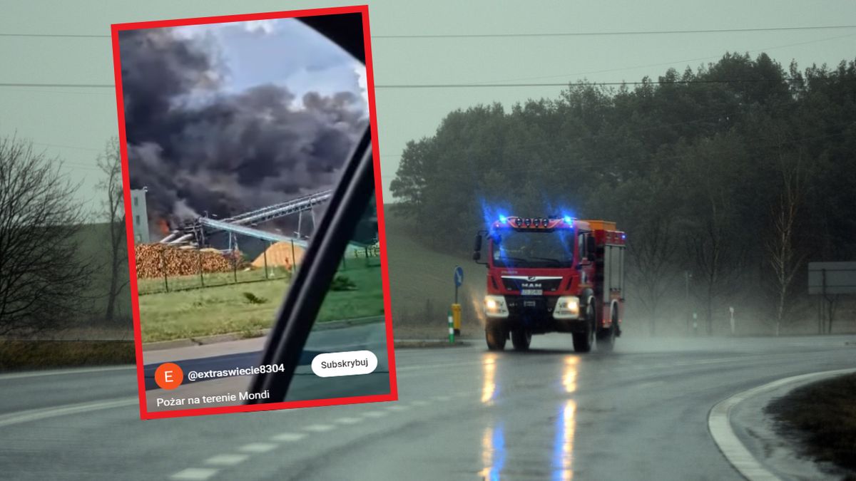 Pożar na terenie zakładów Mondi w Świeciu. Znamy wstępne ustalenia