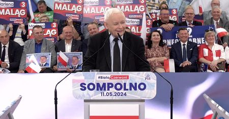 Kaczyński zdumiał wyceną euro. "Nie 5 zł, a 2,55 zł"
