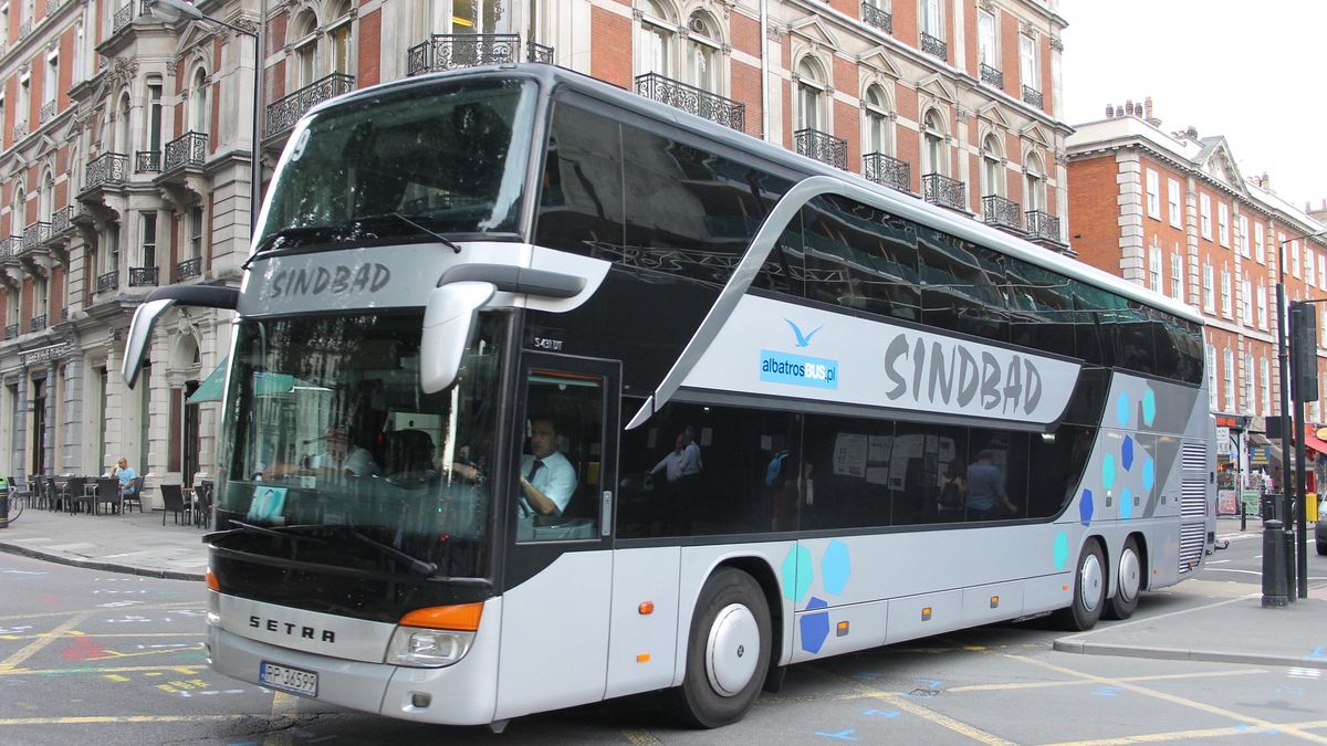 Sindbad zapowiedziała wznowienie kursów. 