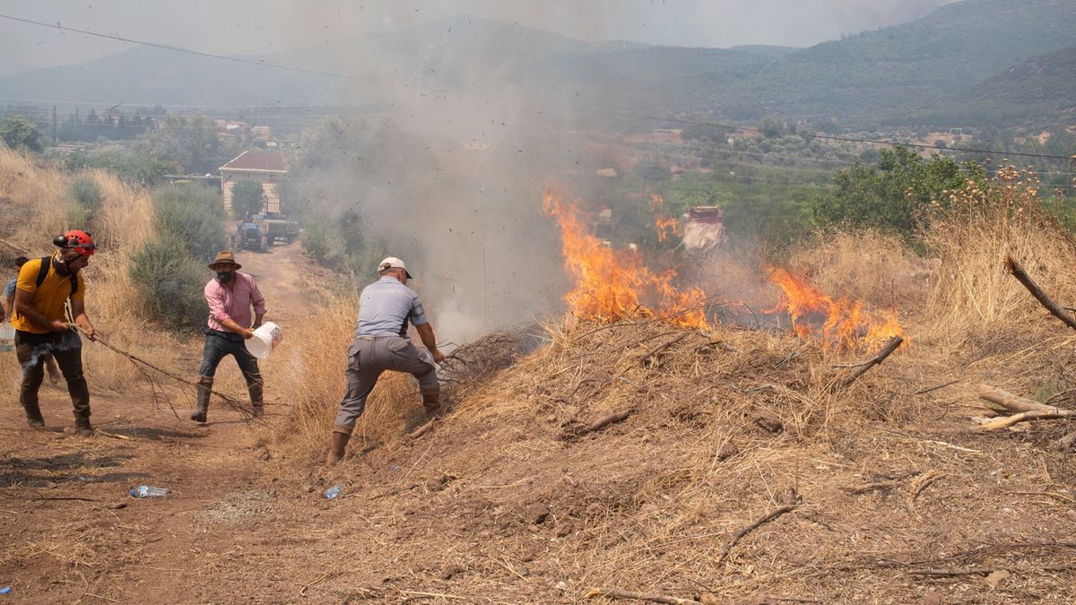 W kraju jest obecnie kilkaset pożarów