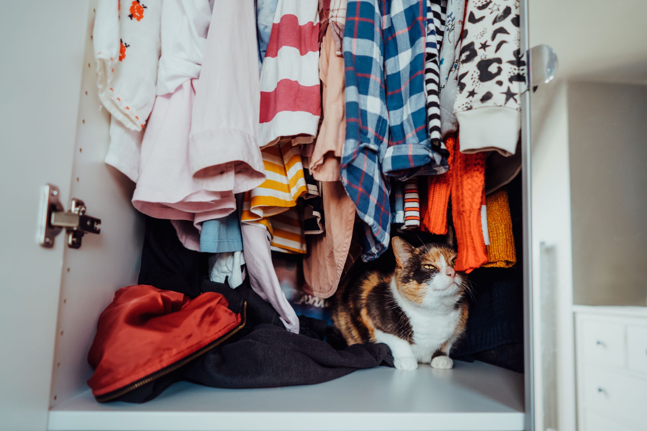 Porządki zaczynamy od uporządkowania małych przestrzeni